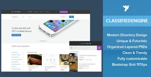 ClassifiedEngine WordPress Theme + All Extensions - EngineThemes