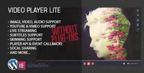Video Player Lite Elementor Widget