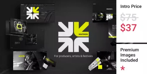 Rawtracks - Music & DJ Theme