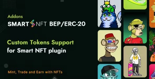 Smart NFT BEP/ERC-20 Custom token standard (Addons)