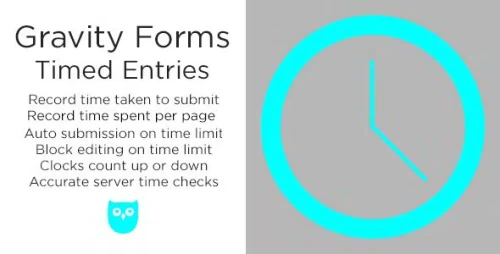 Gravity Forms Timed Entries