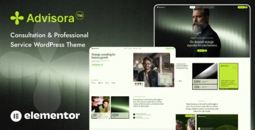 Advisara - Consulting Business WordPress Theme