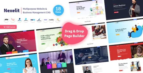 Nexelit - Multipurpose Website &amp; Business Management System CMS