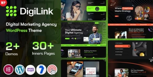 Digilink - Digital Agency WordPress Theme