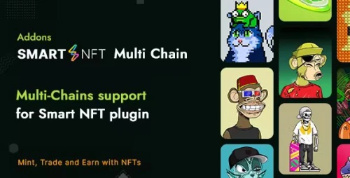 Smart NFT - MultiChain (Addons)