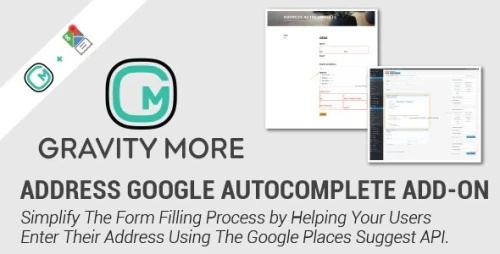 Address Google Autocomplete In Gravity Forms