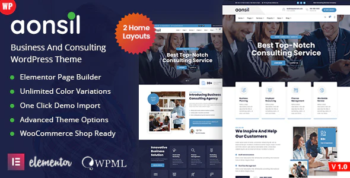 Aonsil - Business Consulting