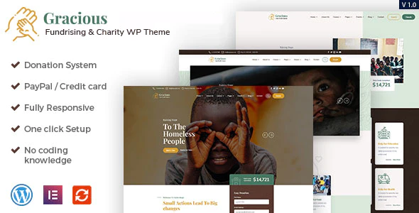 Gracious - Charity and Donation WordPress Theme
