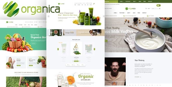 Organica - Organic, Beauty, Natural Cosmetics, Food, Farn and Eco WordPress Theme