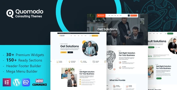 Quomodo - Business Consulting WordPress Theme