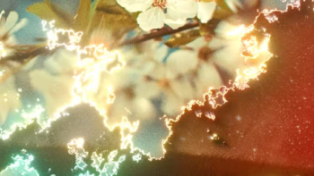 Shimmering Transitions