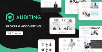 Auditing - Accounting Consultant, Finance WordPress Theme