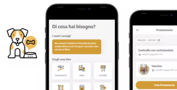 Dog Pet App - Vue JS - Strapi