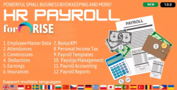 HR Payroll plugin for RISE CRM