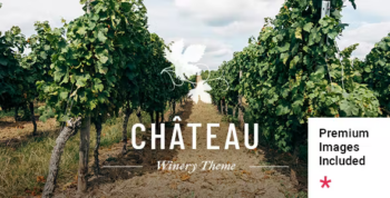 Château - Winery and Wine Shop WordPress Theme