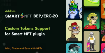 Smart NFT BEP/ERC-20 Custom token standard (Addons)