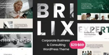 Brilix - Corporate Business & Consulting WordPress Theme