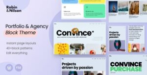 Robin and Nilson - Digital Agency WordPress Theme