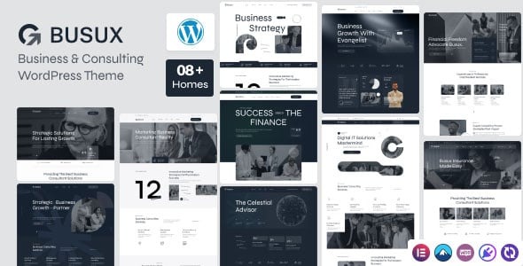 Busux - Business & consulting WordPress Theme
